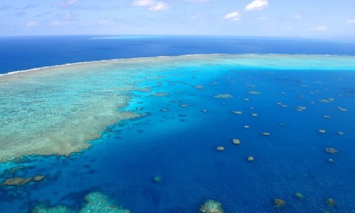 Two French tourists die from heart attacks on Great Barrier Reef
